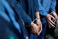دستگیری قاچاقچی عمده قرص‌های غیر مجاز منطقه تهرانپارس تهران