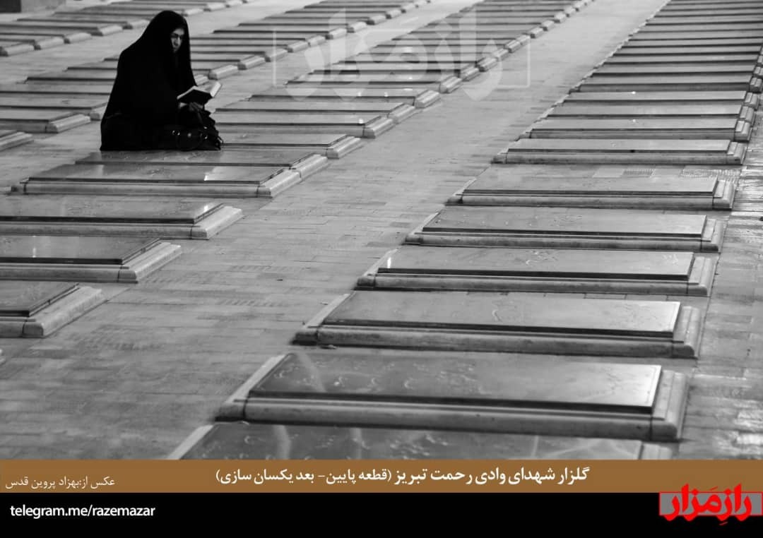 شهدا