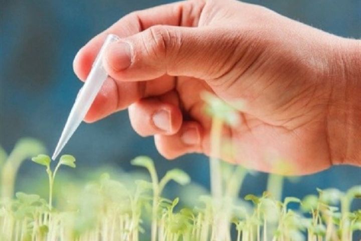 محصولات بیولوژیک کشاورزی و دامی با کمک فناوری زیستی پیشرفته به بازار عرضه می‌شود