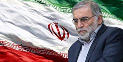 کنایه استاد دانشگاه کالیفرنیا به استانداردهای دوگانه غرب درباره ترور دانشمندان ایرانی