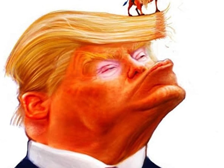کاریکاتور نتیجه انتخابات آمریکا