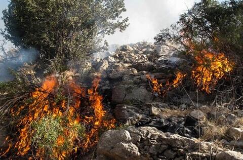 آتش سوزی جنگل‌های زاگرس عمدی یا سهوی؟ / نگرانی فعالان محیط زیست برای شش‌های کشور