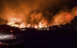 تصاویری از ادامه آتش سوزی در جنگل های یونان