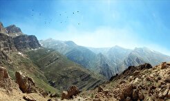 کشف ۲۶۹ مورد تخلف زیست محیطی در کردستان