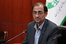 «ایران» یوزی است که همچنان قدرت باروری مجدد را دارد / نمی‌دانیم توله سوم چقدر شانس بقا دارد
