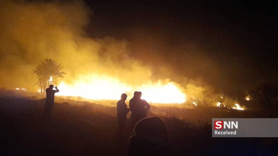 آتش سوزی مزارع و باغات روستای سید یعقوب حمیدیه استان خوزستان