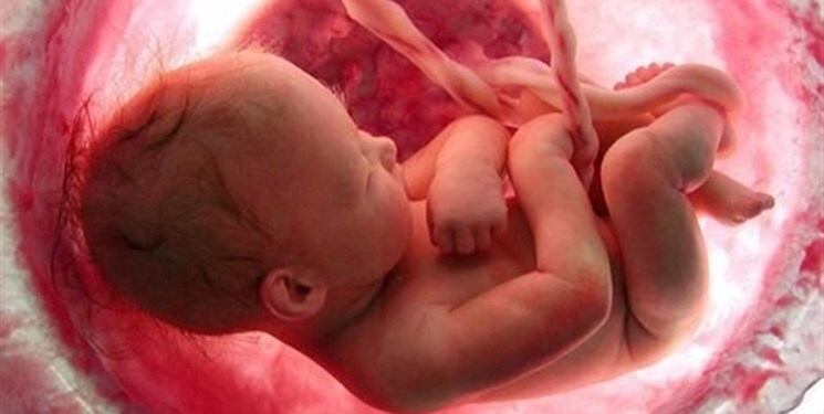 رسمیت بخشی به سقط غیرقانونی آن هم در نهاد قانونی/ پای مرگ و زندگی در میان است