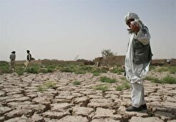۹۹.۷ درصد مساحت خراسان جنوبی تحت تأثیر خشکسالی است