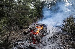 ادامه آتش سوزی در اراضی جنگل رودبار