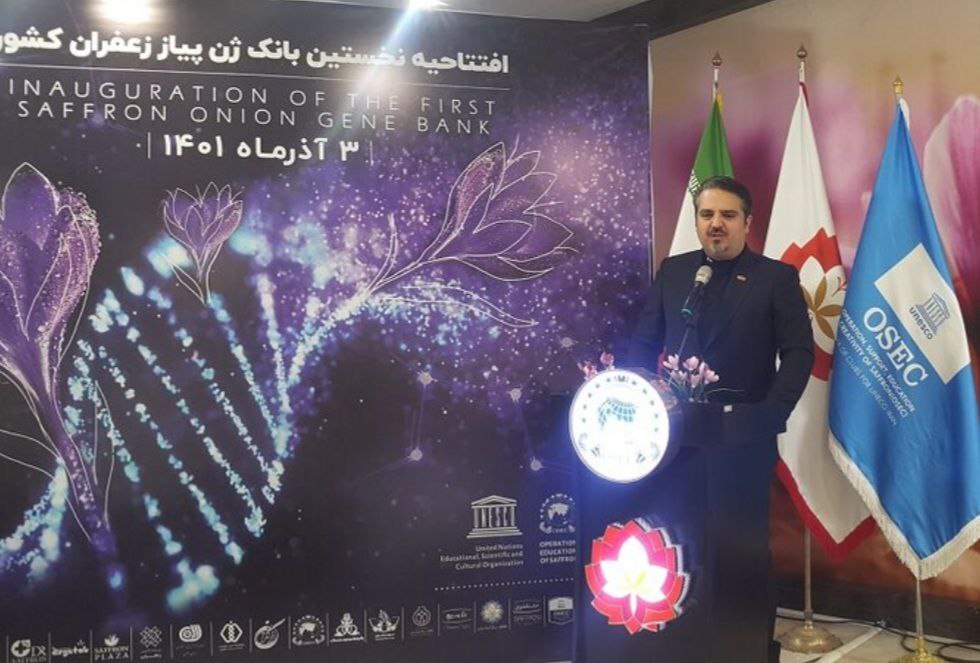 نخستین بانک ژن پیاز زعفران در ایران افتتاح شد