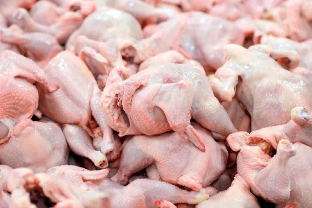 گرانی مرغ یک پا ندارد/ علت تفاوت نرخ مرغ در قم به دلیل کمبود تولید و واردات مرغ است!