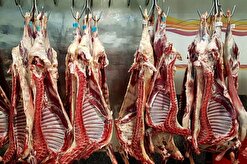افزایش ۱۰ درصدی قیمت گوشت گوسفند به روایت مرکز آمار/  سردست با استخوان کیلویی ۶۴۰ هزار تومان