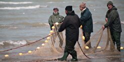 صیادان گلستانی ۱۴۲ تُن ماهیان استخوانی صید کردند/ رشد ۱۳ درصدی درآمد ماهیگیران