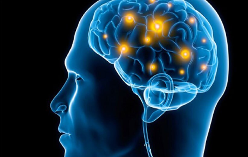 سمپوزیوم مدرسه بین‌المللی مطالعات مغز (ایبرو) برگزار می شود