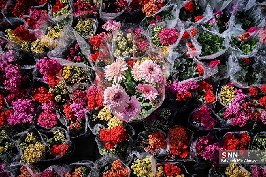 بازار گل محلاتی در آخرین روزهای سال