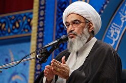 آیت الله صفایی بوشهری: حضور مردم در انتخابات موجب اقتدار ملی خواهد شد