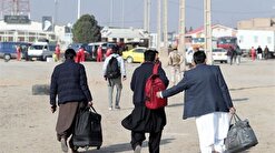 ماهانه حدود ۷ هزار نفر از اتباع افغانستانی فاقدمجوز به کشورشان بازگردانده شدند