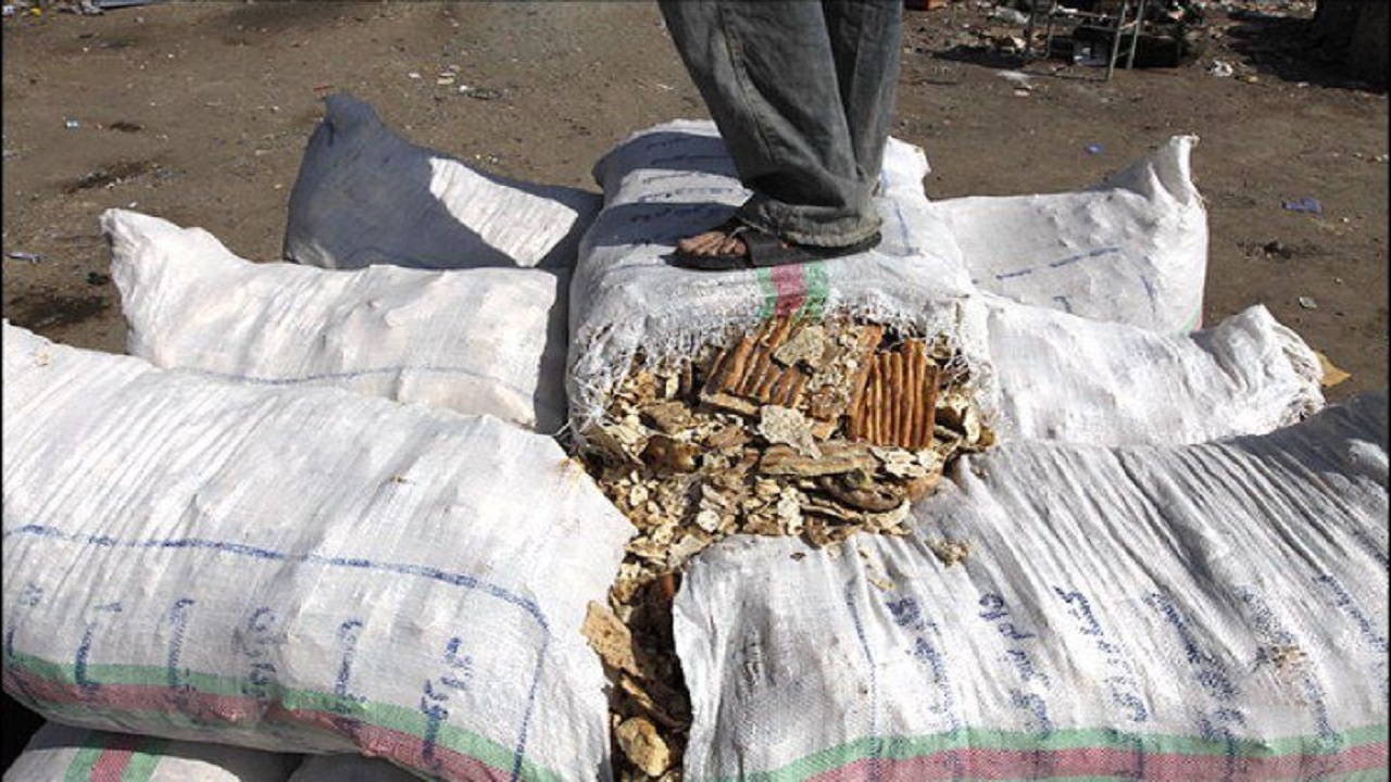 برکتی که خوراک دام میشود/ صفوف طولانی نان در خراسان شمالی برکتی که خوراک دام میشود/ صفوف طولانی نان در خراسان شمالی