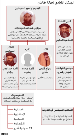 ساختار حکمرانی سازمان طالبان | منبع: BBC عربی 